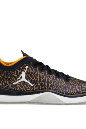 Jordan Trainer 1 Low Michigan College Navy White Amarillo Sneakers