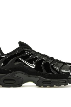 Nike Air Max Plus Black Chrome FJ2591-001 Sneakers